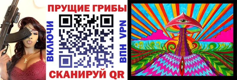 Галлюциногенные грибы Psilocybine cubensis  Белоозёрский 